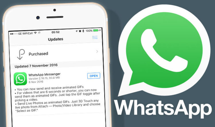 Come inviare gif su Whatsapp: guida per iPhone e iPad