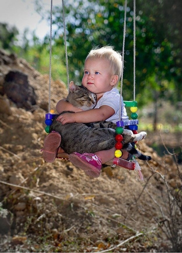 Foto Gatti: le 40 immagini più belle e divertenti di gatti