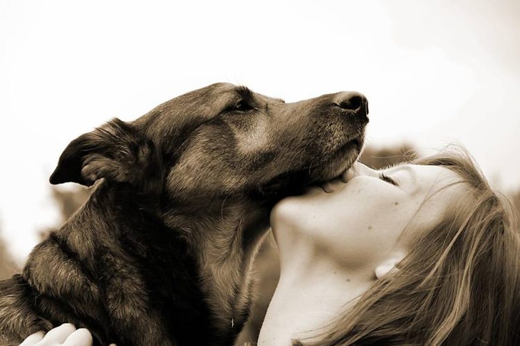 I modi in cui il tuo cane dice "ti amo"
