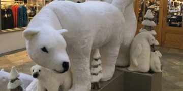 Esposizione orsi polari a luci rosse