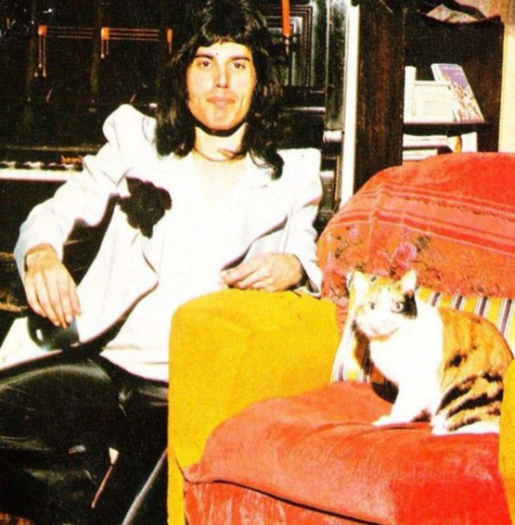 L’amore di Freddie Mercury per i suoi gatti in Bohemian Rhapsody